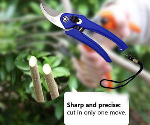 465 Stainless Steel Garden Scissors