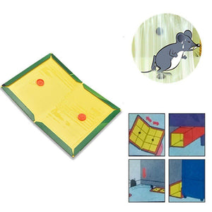 VaCalvers Rodent Taps - Mouse Traps Insect Rodent Lizard Rat Catcher Adhesive Sticky Glue Pad