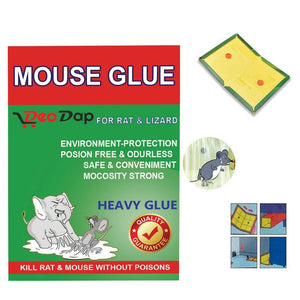 VaCalvers Rodent Taps - Mouse Traps Insect Rodent Lizard Rat Catcher Adhesive Sticky Glue Pad