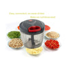 101 Compact & Powerful Hand Held Vegetable Chopper (650 ml)