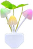 239 Night Light Mushroom Lamp (Colorful)